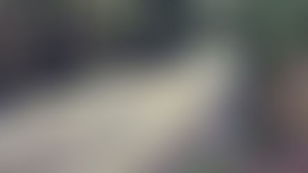 Luxulyan Valley Waterfall | Hidden Waterfall in Cornwall, England