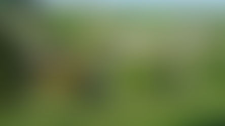 Hidden village that rivals its famous neighbours with its picture perfect charm