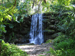 8 Best Hidden Waterfalls to visit in Florida