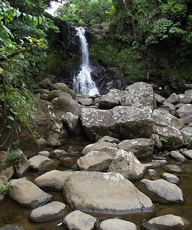 Costa Rica_356_Reserva_Natural_Rara.jpg
