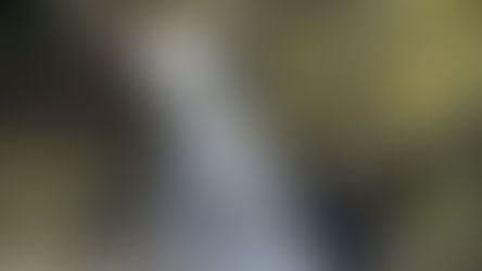 Moss Force | Hidden Waterfall in Lake District, England