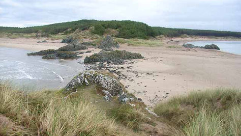 Discover the secret Welsh island that looks exactly like the wilds of North America