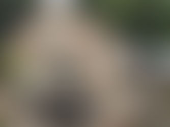 5 cheap staycations in the Yorkshire Dales under £100 per night