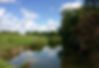 Image of Grantchester Meadows, Cambridge