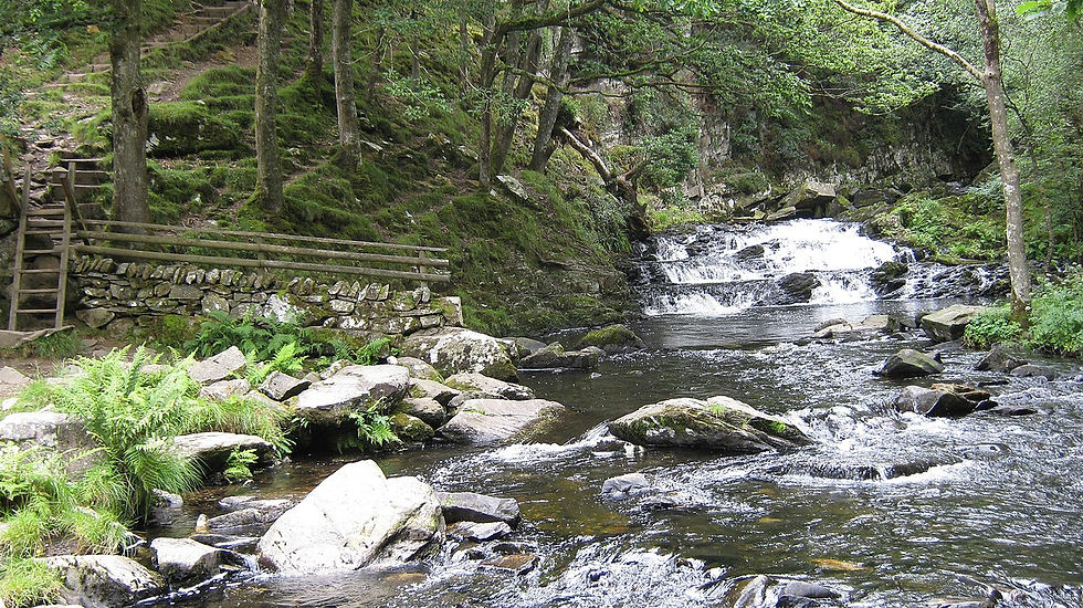 Image of Nantcol Waterfalls