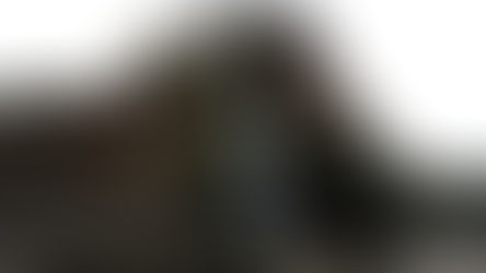 This is the hidden waterfall in Somerset that has been named among the UK’s best