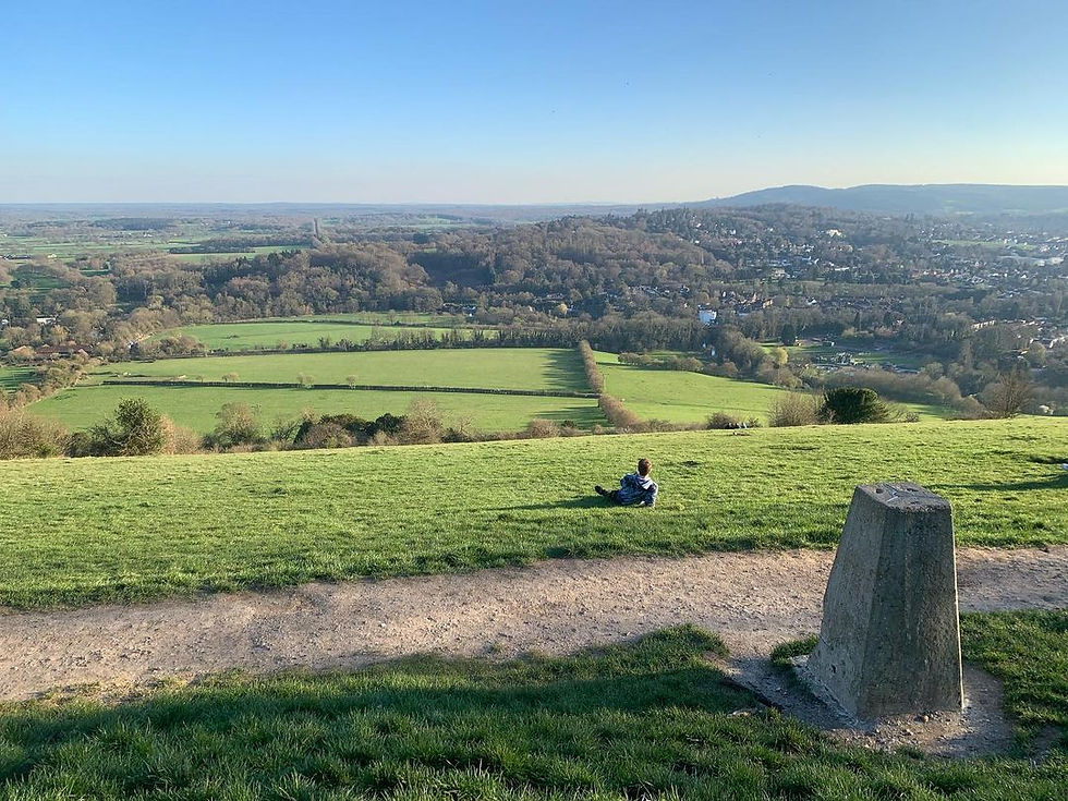 Image of Box Hill in Surrey