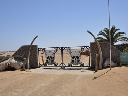 Africa's 'Skeleton Coast' has unexpectedly become a popular destination for dark tourism