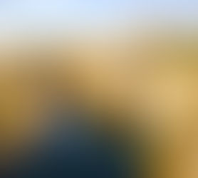 10 Best Places to Visit in India in January (2026 Sun & Snow Guide)