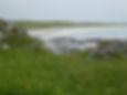 Image of Tiree