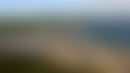 Charming little seaside village with its own beach, cosy pub, and a famous neighbour next door