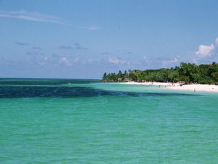 10 BEST places to visit in America in February