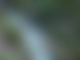 10 BEST hidden gems to visit in Mexico in 2025