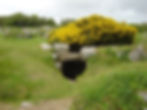 Image of Carn Euny Ancient Village in Cornwall