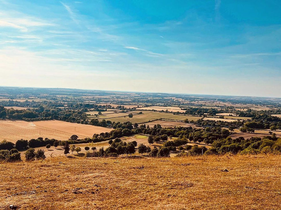 Image of The Chiltern Hills