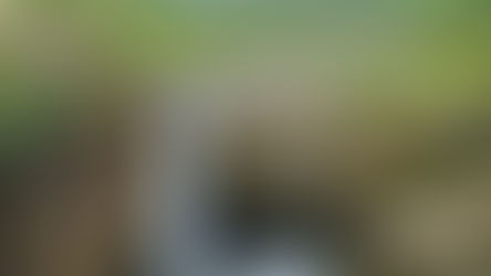 Black Moss Pot | Hidden Gem in the Lake District, England