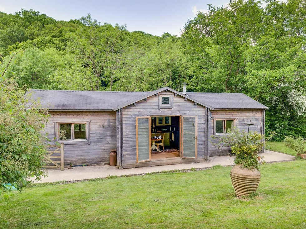 Birdwatcher's Cabin