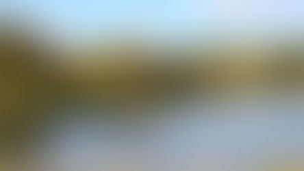 Hampstead Bathing Pond | Hidden Gem in London