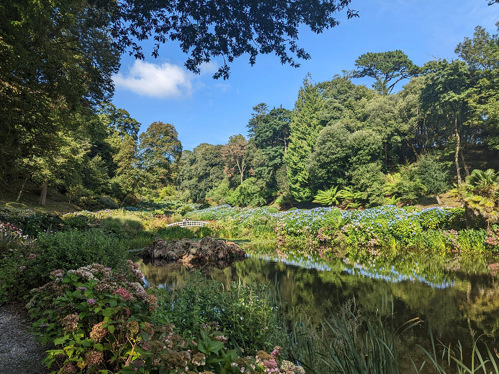 Image of Trebah Garden in Cornwall