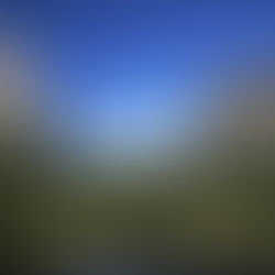 10 BEST places to visit in America in March