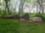 Image of The Lost Gardens of Heligan in Cornwall