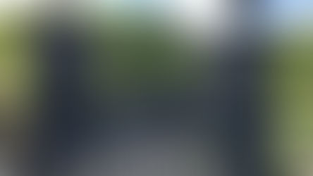 Discover the secret garden in England where all the plants can kill you