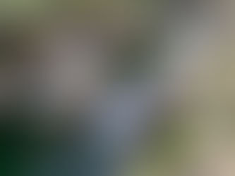 Tongue Pot | Hidden Gem in Lake District, England