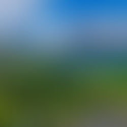 10 Best Places to Visit in India in May (2026 Buddha Purnima & Ooty Festival)