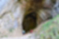 Image of Thor’s Cave, Staffordshire