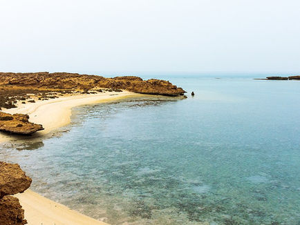 10 Best Beaches to Visit in Saudi Arabia for Coastal Adventures