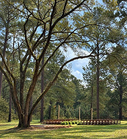 Wedding Ceremony at Loblolly Rise.jpg
