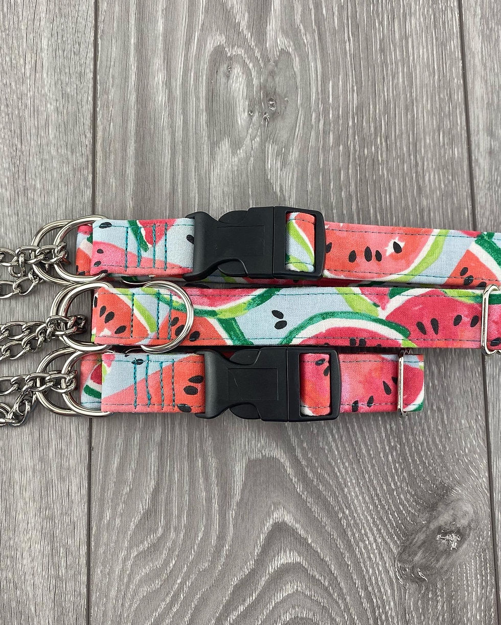 Watermelon Flat Buckle Martingale Collar