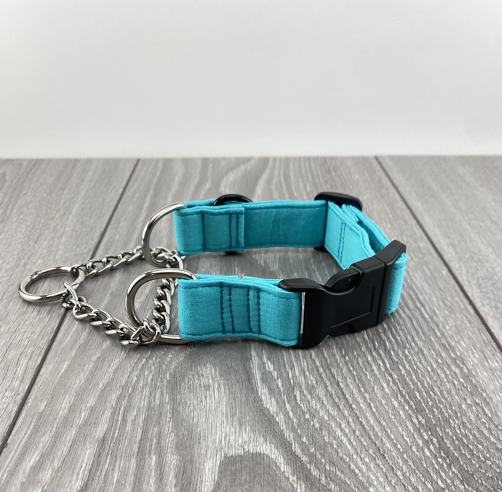 Teal Flat Buckle Martingale Collar