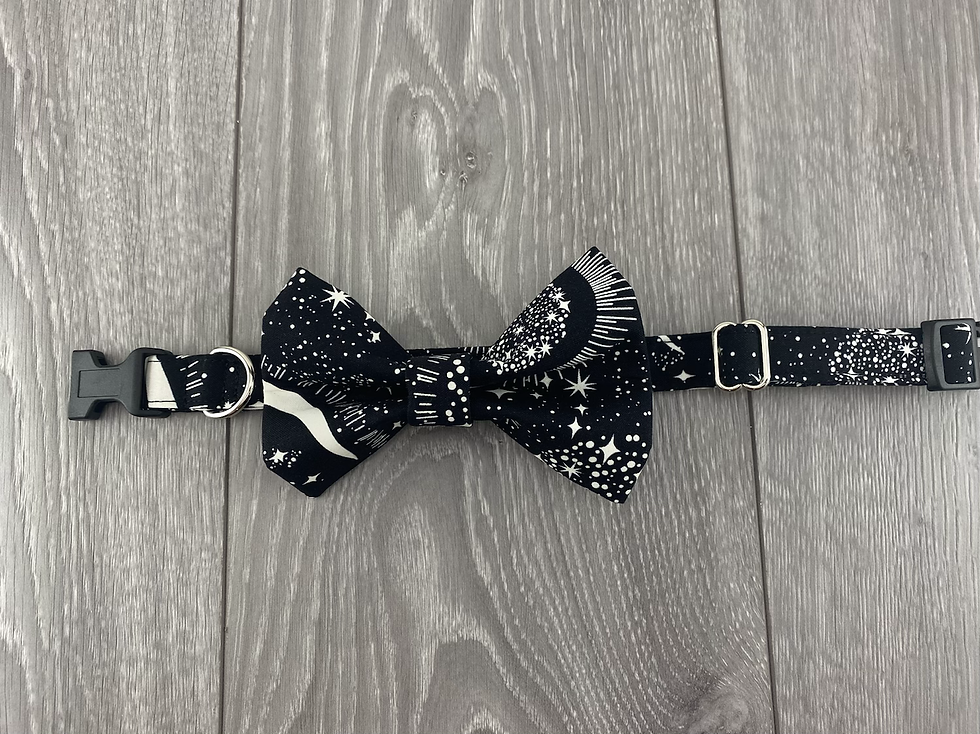 Black Moon Flat Buckle Collar