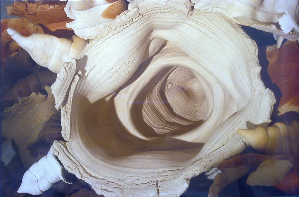 "life space"  Detail