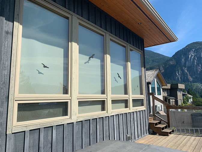 Exterior House Painting 4.JPG