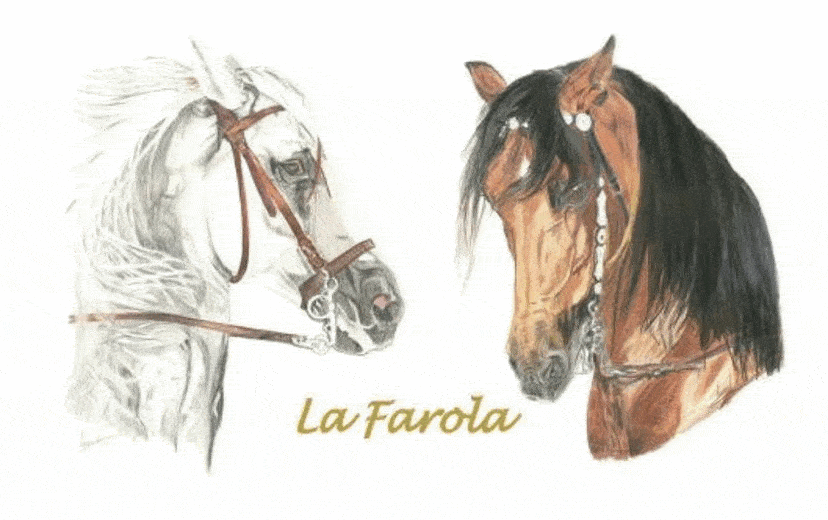 IMG-0644.gif