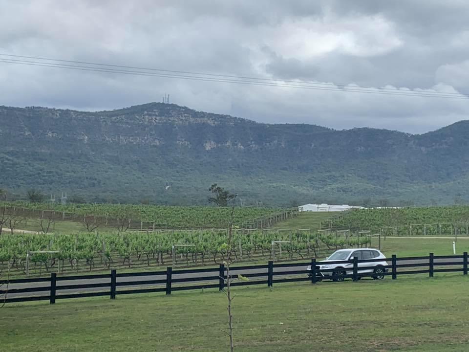 vineyard 5 mountain