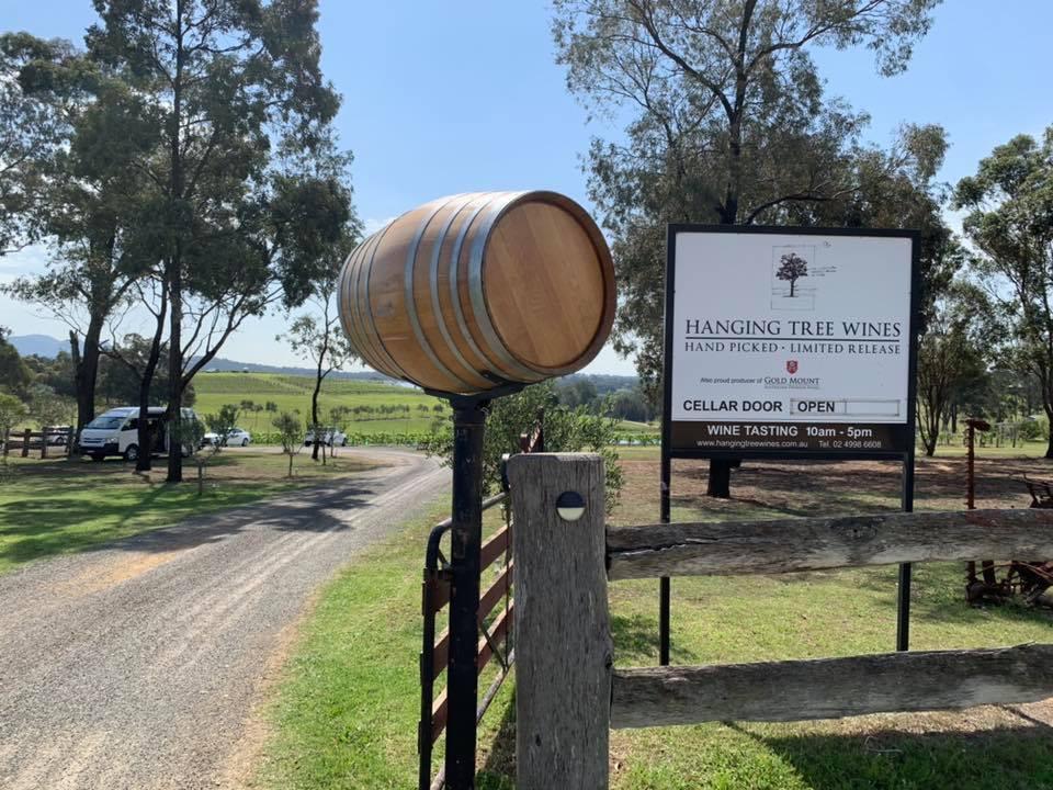 vineyards hanging tree wines