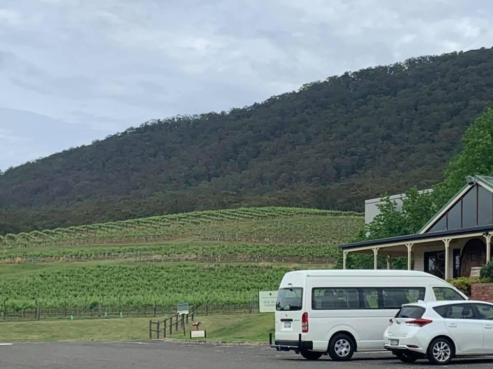 vineyards Mount Pleasant Wines