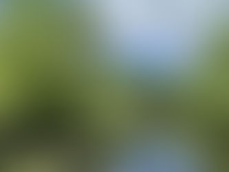 Welcome 2026: time to tap into the true wealth of Greenwich, CT