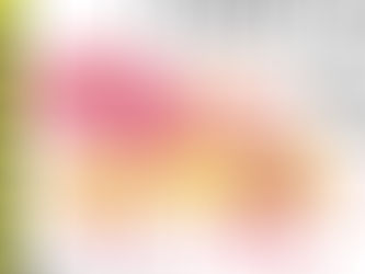 Beloved Touch a Truck returns to Town Hall