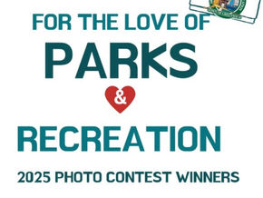 Winners of Greenwich summer photo contest