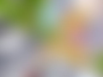 Public hearing on Greenwich Avenue ADA improvements