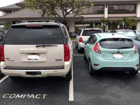 Cat and Mouse: Inside Greenwich's Great Parking Game