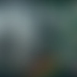 The Greenwich Imposter: A marriage sham and $500k tuition scam