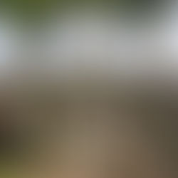 The Real Cost of Riverside's New Pre-K Plan