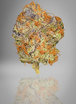 Marijuana, Montana Preferred Provider, Cannabis at Bitterroot Cannabis Company, recreational marijuana, dispensary,