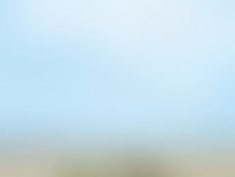 Let's go fly a kite at Tod's Point