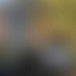 A lot of hate in Greenwich Schools says report